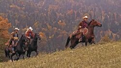 SLO MO DS Three herdsmen riding galloping horses uphill Stock Footage