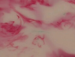 Abstract Fluid Dynamics HD #10 Stock Footage