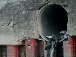Sewer outlet Stock Footage