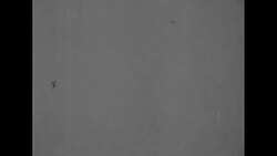 Military plane crash at the Western Front during World War II News Clip