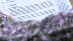 Baby feeding dilemma for parents 
++REPLAY++ News Clip