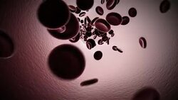 Blood cells flowing Stock Footage