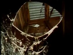 Spiders web on the underside of toilet seat, low angle, USA Stock Footage