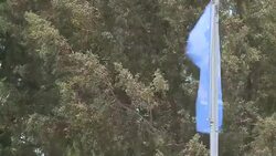 CLEAN : Cyprus leaders tackle thorny core issue in ongoing peace talks News Clip