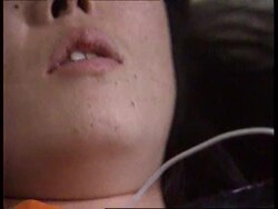 China - Mosquito And The Fly News Clip