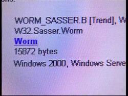 New computer virus Sasser spreads worldwide News Clip