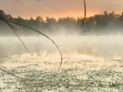 HD: Misty Lake At Sunset Stock Footage