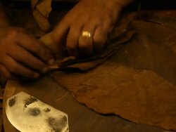 cigar maker Stock Footage