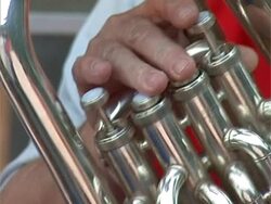 Woman playing  contrabass Stock Footage
