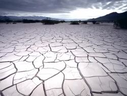 MS POV View of Dry Cracked Earth / Death Valley, California, United States Stock Footage