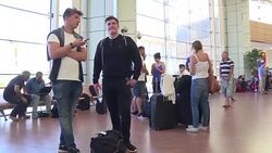 CLEAN : Egypt Britons and other tourists flown out of Sharm elSheikh News Clip