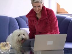 HD DOLLY: Woman, Dog And Laptop Stock Footage