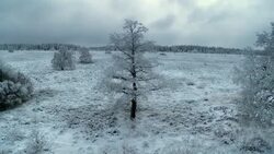 Heavy, low clouds gather over snowy, wooded plains. Stock Footage