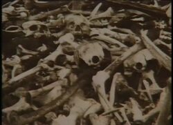 Bones of Contention: Kennewick Man (June 19, 2001) News Clip