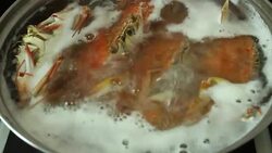 Cooking seafood Stock Footage