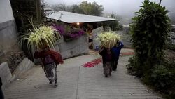 CLEAN : Thousands of indigenous Guatemalans celebrate Palm Sunday News Clip