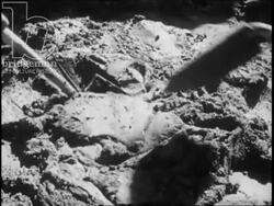 Builders constructing walls. New Mexico c.1950. Stock Footage