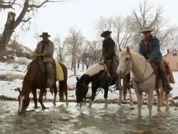 WS Cowboys and cowgirl on horseback water horses at stream / Shell, Wyoming, United States Stock Footage