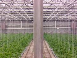 MS Symmetry between plots / Minneapolis, Minnesota, United States Stock Footage