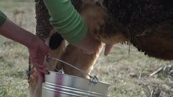 'Chernobyl Children' Forgotten in Budget Cutting News Clip