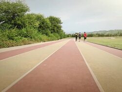 Personal trainer training two athlet girls Stock Footage