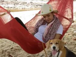 Girl with her dog Stock Footage