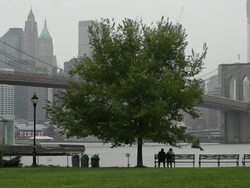 MS Shot of traffic moving on Brooklyn Bridge and couple sitting at bank of river / New York, United States Stock Footage
