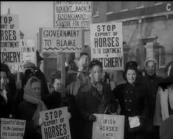 LAST JOURNEY News Clip