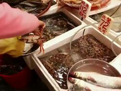 MS People buying fresh seafood at market / Hong Kong, China Stock Footage