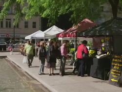 WS Farmer's market in Daley Plaza Stock Footage