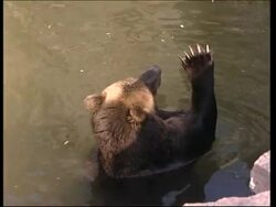 Muscovites suffer under unseasonal heatwave News Clip