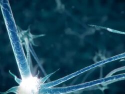Neuron network Stock Footage