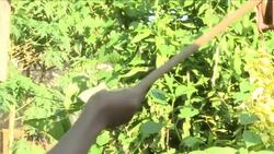 Voiced: Cameroonians thirsty for change News Clip