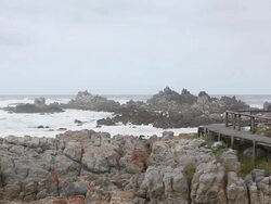 Female Runners runs along a wooden path Stock Footage
