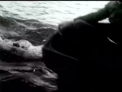 CHANNEL SWIM RECORD BROKEN News Clip