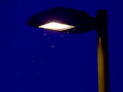 Street Light Stock Footage