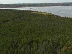WS ARIEAL View of West Quoddy head lighthouse with wooded area / Maine, United States Stock Footage