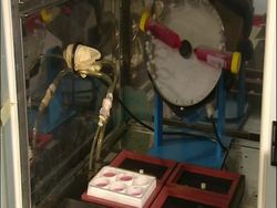 Heart Valve - Stem Cells News Clip