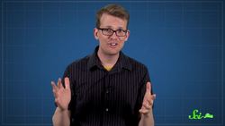 Inside The World's Most Powerful New Microscopes Instructional Video