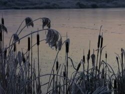 Freezed up Lake Stock Footage