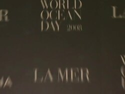 La Mer and Oceana Present World Ocean Day 2008 Stock Footage