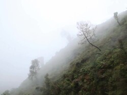 MS rolls over forest covered mountain on right side of frame / bwindi, kabale, uganda Stock Footage