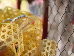 waste in garbage Stock Footage