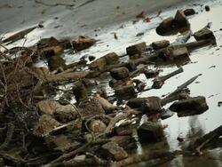 Illegal Dumping Stock Footage