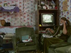 MS Shot of interior of family life in small apartment and women talking on phone / Cairo, Egypt Stock Footage
