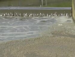 MS Shot of Impure water in clarifying basin at purification plant / Konz, Rhineland-Palatinate, Germany Stock Footage