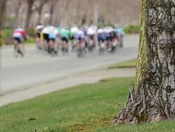 Bicycle Racers Pass Trees Stock Footage