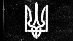 Ukraine badge Stock Footage