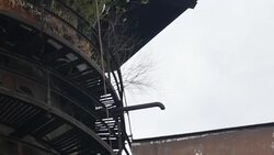 Stock shots from around America in the run up to the US Presidential Elections. News Clip