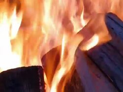 Logs on fire 1 Stock Footage